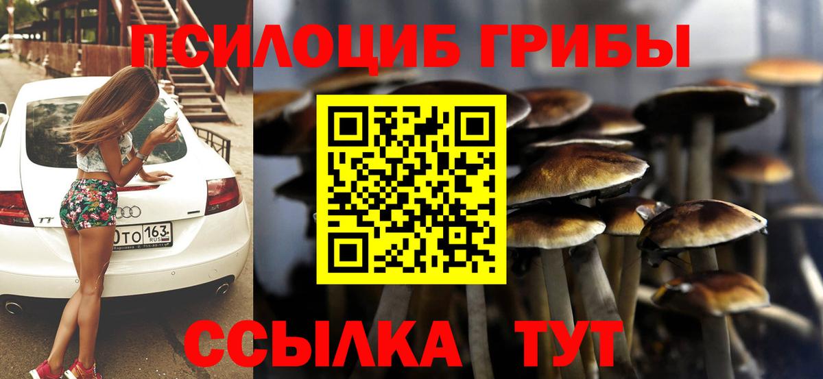 Галлюциногенные грибы Cubensis  Вход с VPN  Саров 